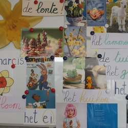 L 1B Lente in de klas