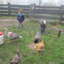 K 2B Kinderboerderij