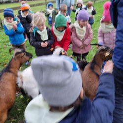 K 2A Kinderboerderij