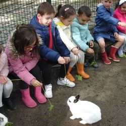 K 3 Kinderboerderij 