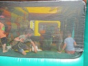 IMG 5005
