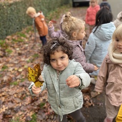 K 1B Herfst